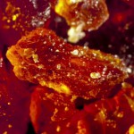 UW’s Clean Tech Start-up EnerG2 Takes a Giant Step With “First in the World” Manufacturing Plant