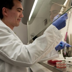 Fate Therapeutics Charts Destiny to World-Leading Stem Cell Company