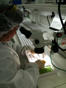 C4C’s Tom Clement Talks to NPR About the Role Innovation Plays in Boosting US Economy