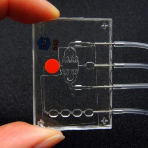 UW/Nortis Bio Among 17 Recipients of $132M Tissue Chip Project Awards