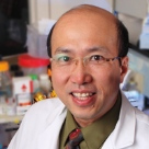 Entrepreneurial Faculty Fellow Rodney Ho Awarded "2013 Research Achievement Award in Biotechnology"
